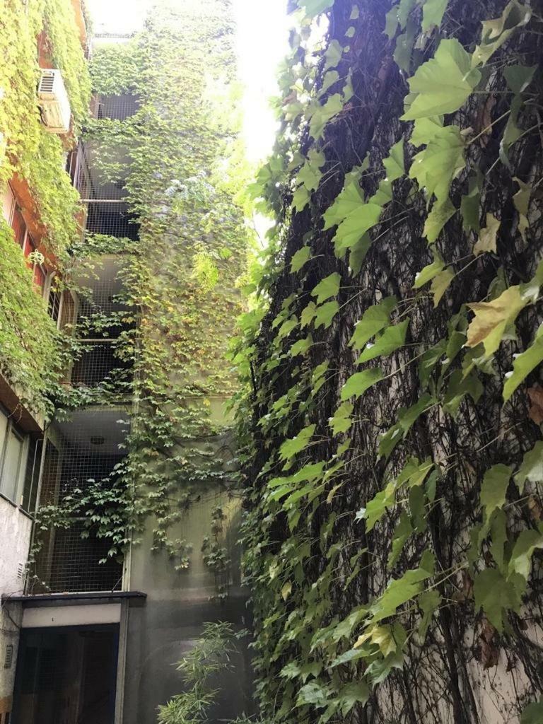 Departamento de 2 dormitorios, Excelente ubicación Mendoza Exterior foto